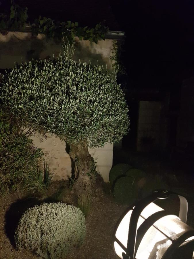 Le Clos Falaw Azay-sur-Cher ภายนอก รูปภาพ
